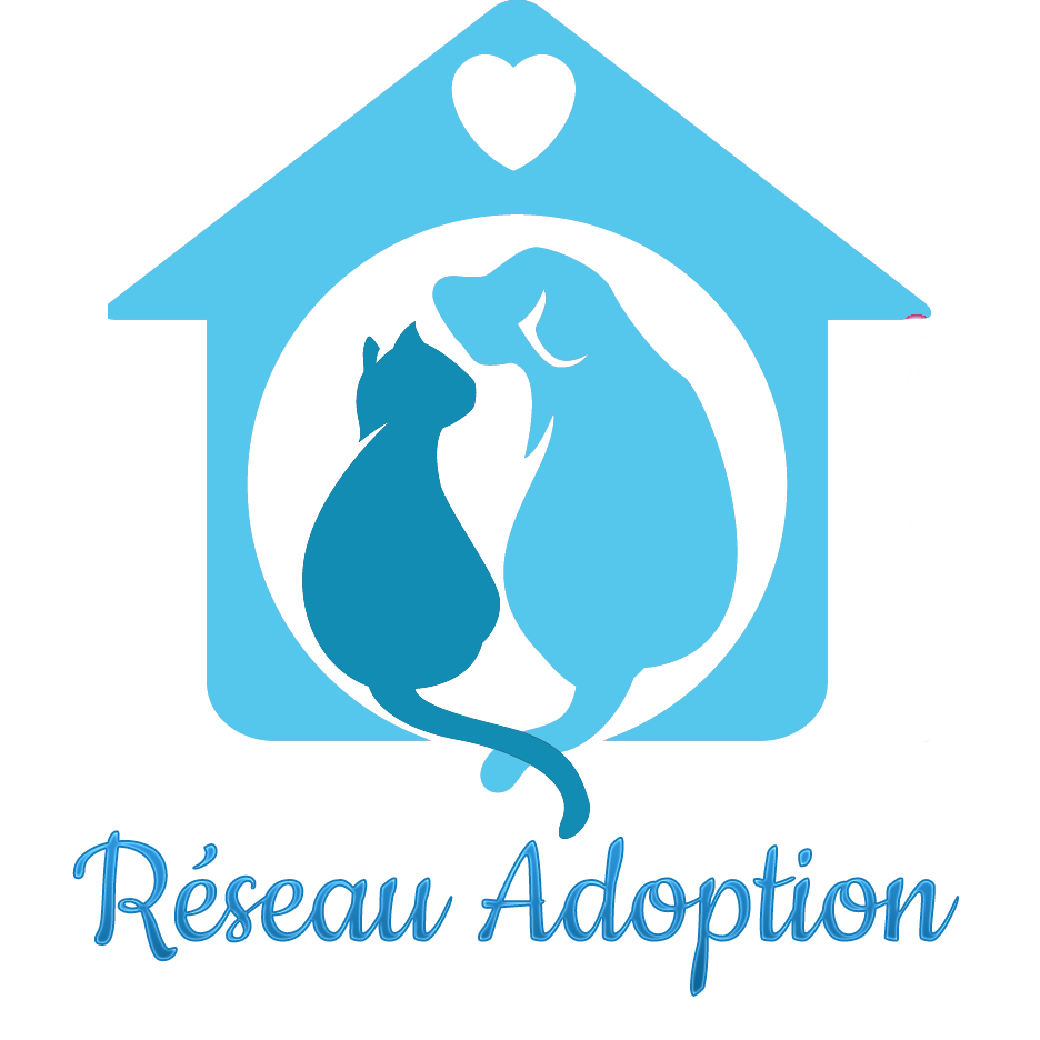 Icône Réseau Adoption