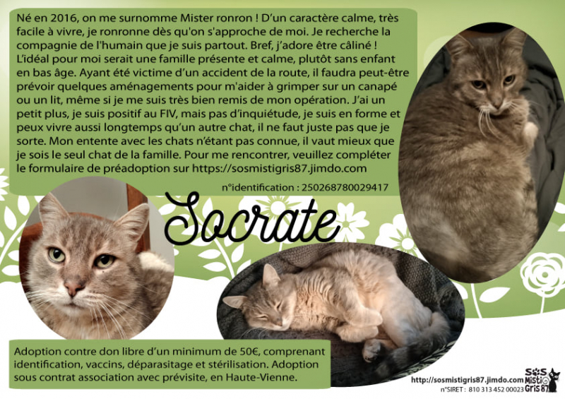 SOCRATE