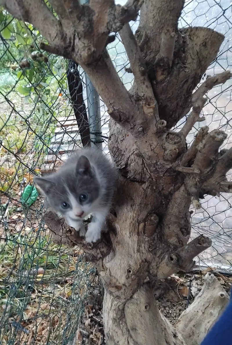 First slide