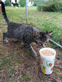 animal adopté ARBABEL