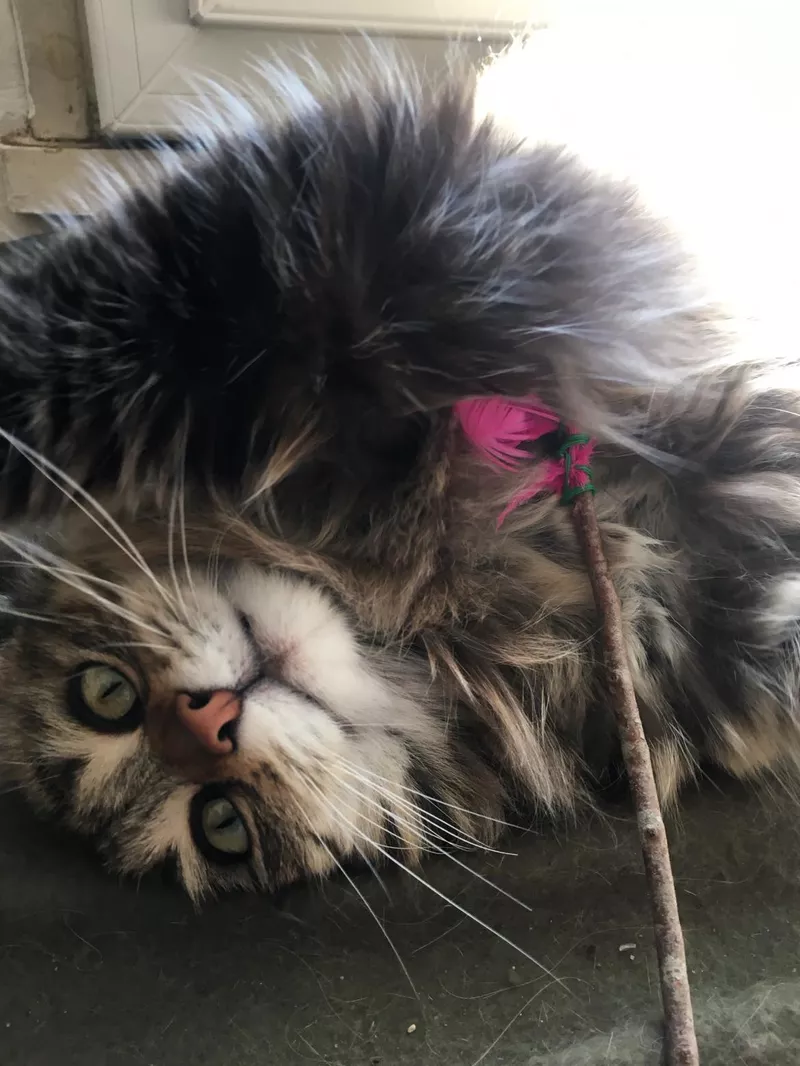 First slide