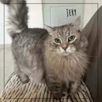 JERY