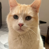 BOUBA
