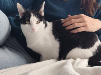 animal adopté Angéline 