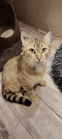 animal adopté Bonna