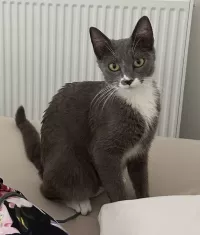 Béryl 