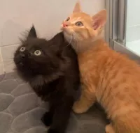 Buni et Barbora