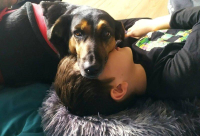 animal adopté Maïa