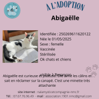 animal adopté Abigaëlle