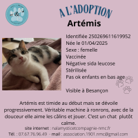 animal adopté Artémis