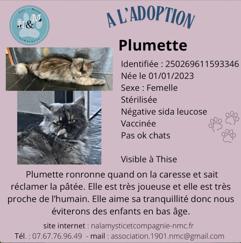 Plumette
