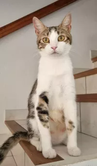Poupée