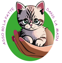 ASSO 80 LA PATTE DANS LA MAIN