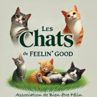 Les Chats de Feelin' Good