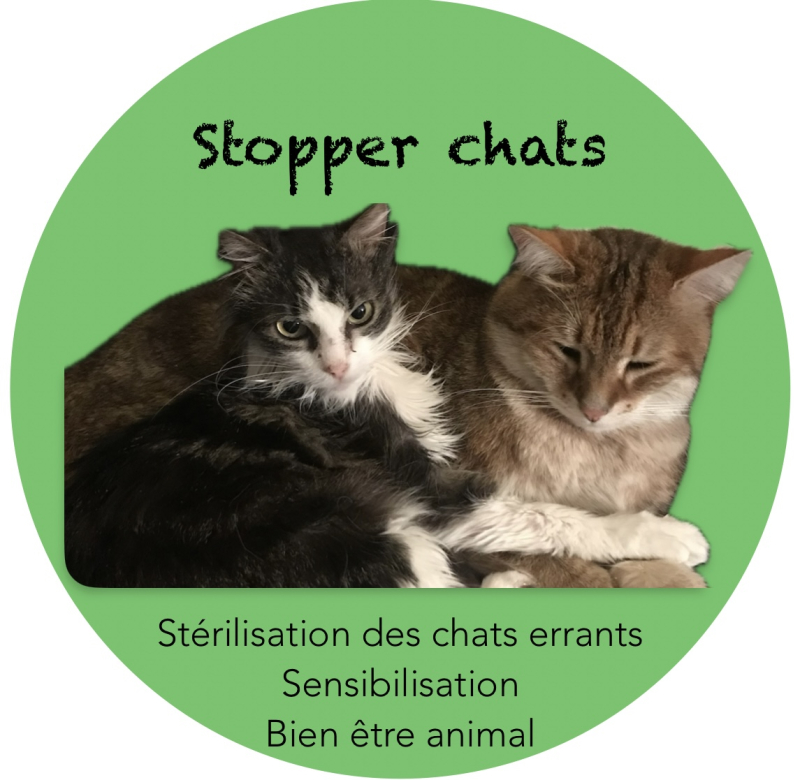 Stopper. Chats logo