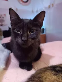 Rita 