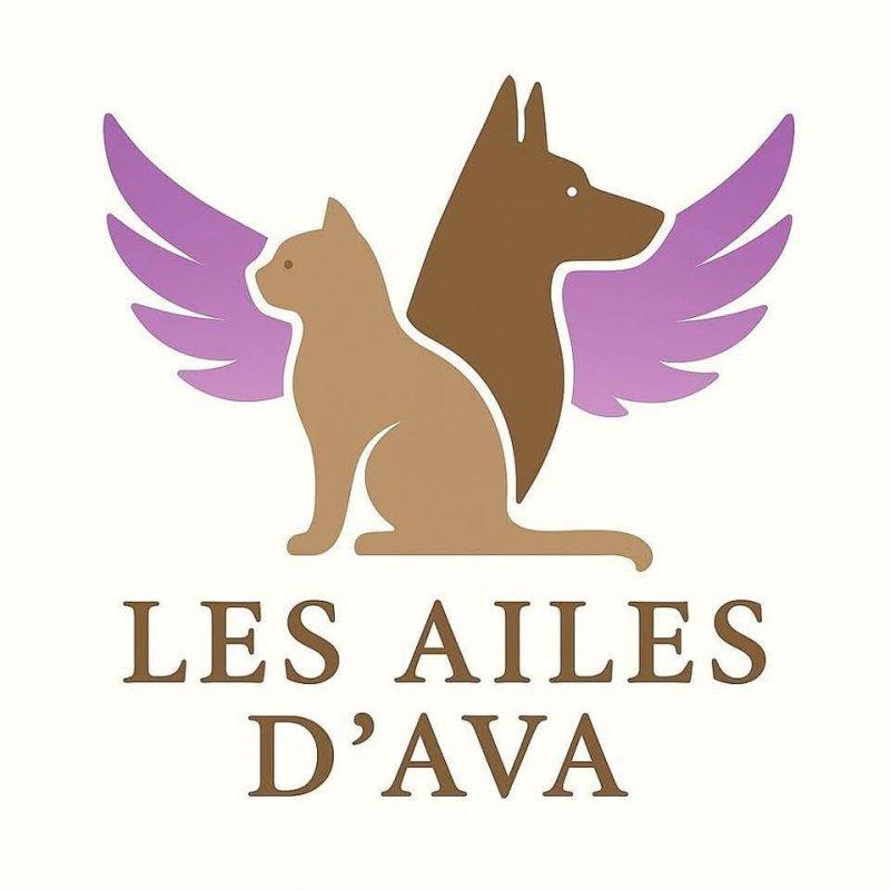 Les Ailes d'Ava logo