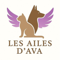 Les Ailes d'Ava