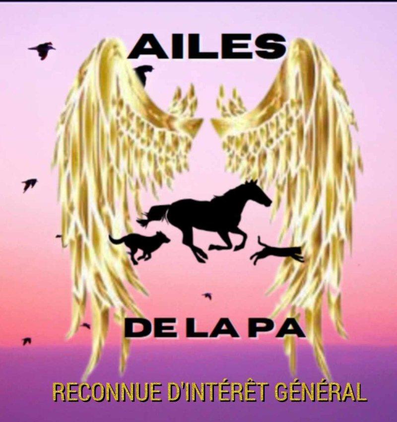 AILES DE LA PA  logo