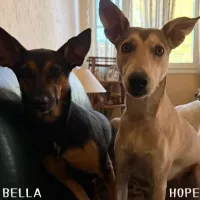 BELLA et HOPE