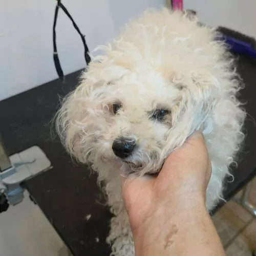 First slide
