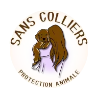 Sans Colliers