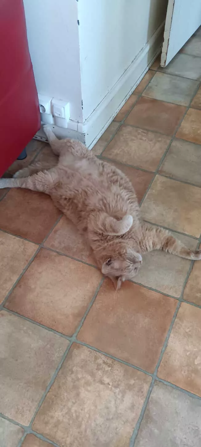 First slide