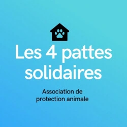 Les 4 pattes solidaire logo