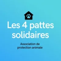 Les 4 pattes solidaire