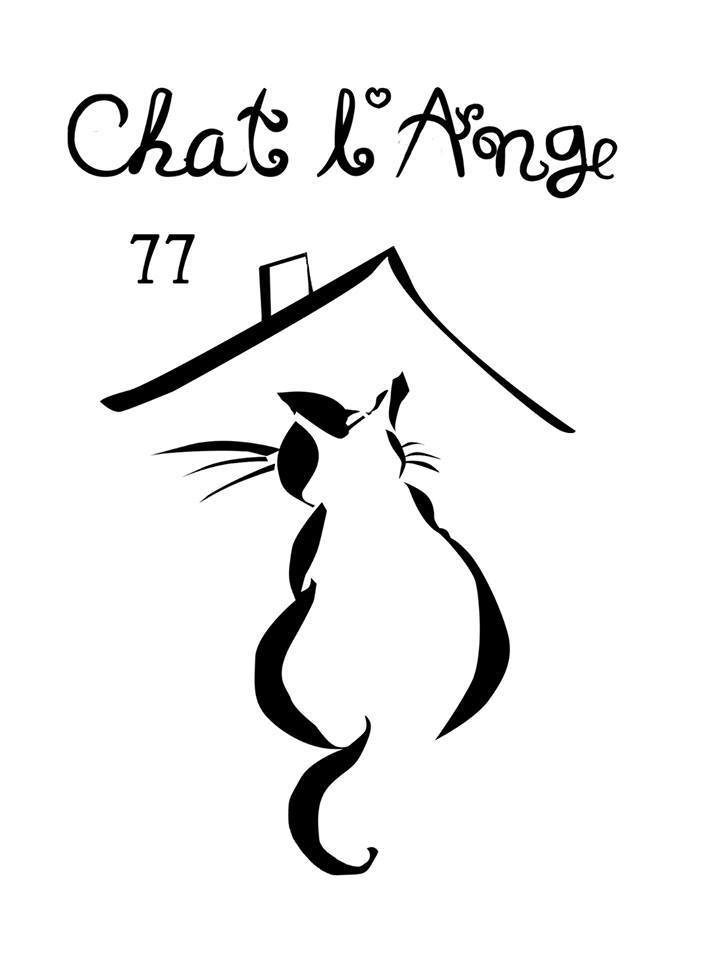 Chat l'Ange 77 logo