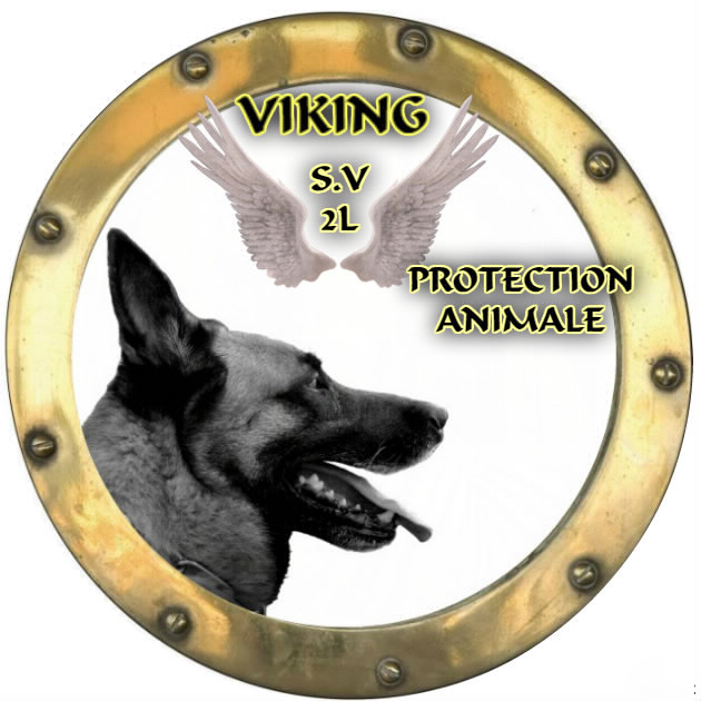 Association Viking S.V.2L Protection Animale logo