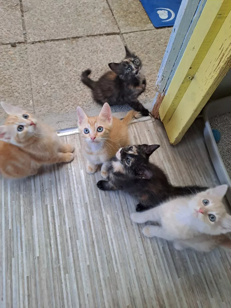 First slide